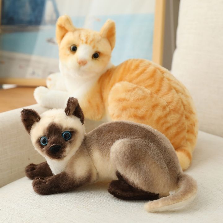 CC】26cm Real-life Cute Plush Cat Doll Soft Stuffed Animal Plush ...