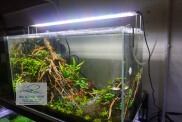 HOÀN TIỀN 10%Đèn Led Odyssea A1 Pro 50cm