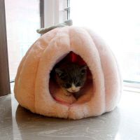 [COD] nest summer mat cat warm universal yurt pet house