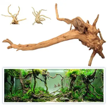 Bonsai Driftwood - Best Price in Singapore - Feb 2024