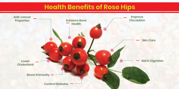 วิตามินซี-vitamin-c-gummies-with-rose-hips-amp-bioflavonoids-90-gummies-puritans-pride-immune-health-support
