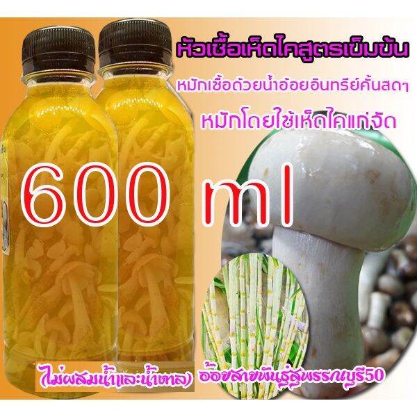 สุดคุ้ม-หัวเชื้อเห็ดไคเห็ดป่าเศรษฐกิจ-สูตรเข้มข้น5ขวดแถม1ขวด-หัวเชื้อเชื้อแข็งแรงมากๆลงเชื้อปีนี้เก็บกินปีหน้า-ราคาถูก-พรรณ-ไม้-น้ำ-พรรณ-ไม้-ทุก-ชนิด-พรรณ-ไม้-น้ำ-สวยงาม-พรรณ-ไม้-มงคล