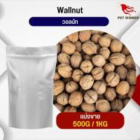 WallNut วอลนัท อาหารนก กระต่าย หนู กระต่าย กระรอก ชูก้า และสัตว์ฟันแทะ อาหารสำหรับสัตว์เลี้ยง (แบ่งขาย 500G / 1KG)