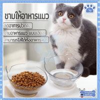 ชามแมว ชามอาหารสุนัข ชามอาหารสัตว์เลี้ยง แมว จานแมว แบบคู่/เอียง 15 องศา ทนทาน ใช้งานได้นาน ทำความสะอาดง่าย