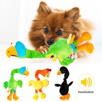 Pets Dog Toys Screaming Chicken Sound Toy Puppy Bite Resistant Chew Toy Interactive Squeaky Dog Toy Puppy Dog Accessories Toys