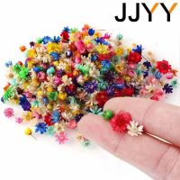 hotx【DT】 JJYY 1 Pack /100 Pcs Multicolor Dried Flowers Diy Epoxy Resin Candle Making