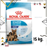 ?Lotใหม่ พร้อมส่งฟรี? Royal Canin Maxi Starter อาหารสุนัข แบบเม็ด สำหรับแม่สุนัขตั้งครรภ์และลูกสุนัขแรกเกิด พันธุ์ใหญ่ ขนาด 15 kg.  ✨