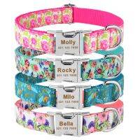 [YP] NylonBoy Girl Unisex Dogs Collar Small Large Personal Dog CollarFree Engraved Name IDProduct Dog Collars