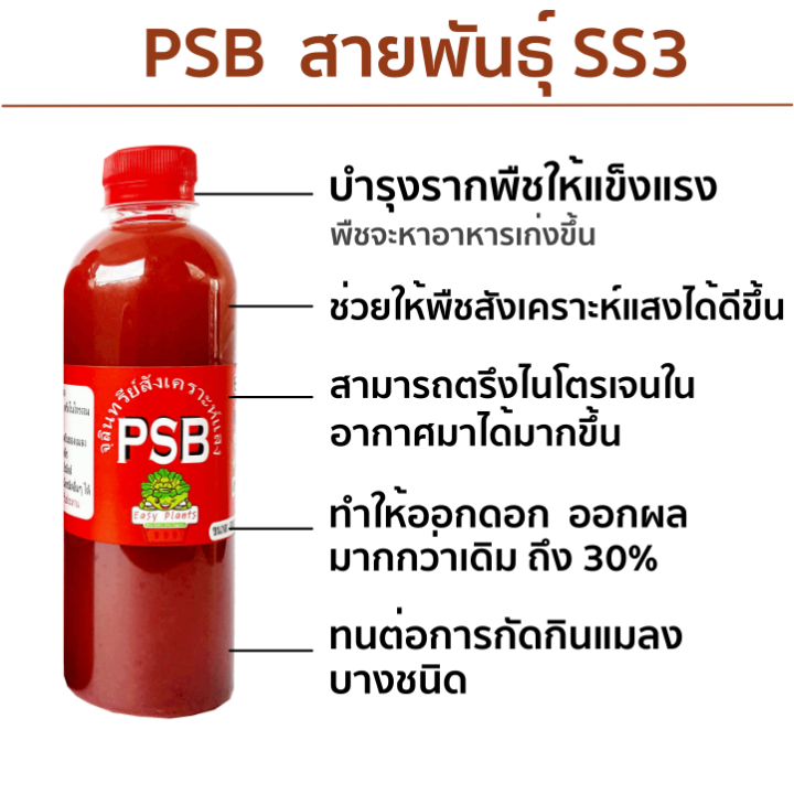 จุลินทรีย์สังเคราะห์แสง-ขนาด-500-ml-psb-แช่เมล็ด-แช่กิ่งตอน-แก้ดินเสีย-รากเดินดี-บำบัดน้ำเสีย-ลดการใช้ปุ๋ย-พืชแข็งแรง