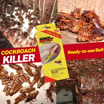 Powerful Effective Cockroach Killing Bait Roach Control Gel Roach Killer  Insecticide Syringe Anti Cockroach Eliminator Pest Tool - AliExpress