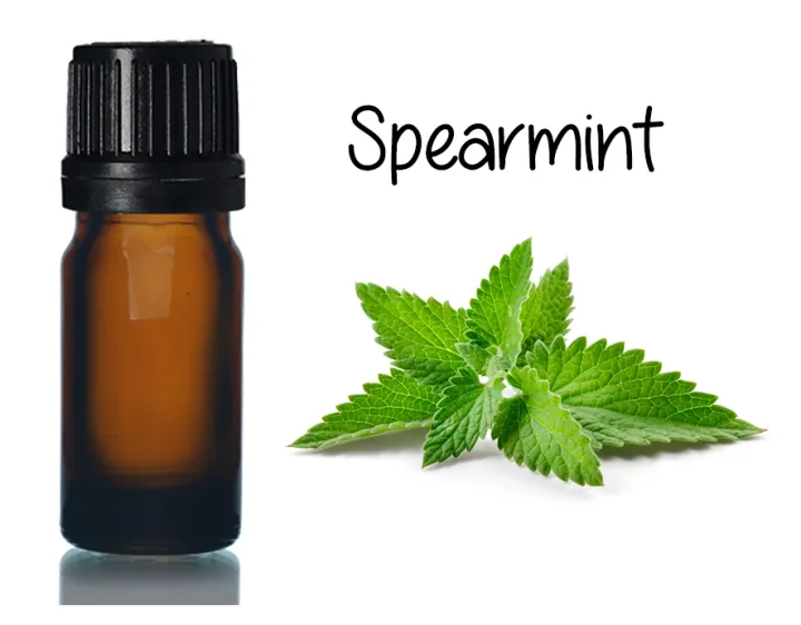 Pure Spearmint essential oil 5ml Lazada PH