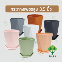 กระถางเพชร 6เหลี่ยม ทรงสูง 3.5 นิ้ว พร้อมจานรอง กระถาง แคคตัส ไม้ประดับ ไม้อวบน้ำ กระถางพลาสติก กระถางขาว พาสเทล หกเหลี่ยม