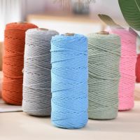 2mm 100M Macrame Cord Cotton Rope String Crafts DIY Colored Thread Cord Twisted Twine Handmade Sewing Home Wedding Decoration General Craft