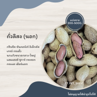 ถั่วลิสง (แบ่งขาย 200-500G.)  อาหารกรีนชีค ซันคอนัวร์ อิเล็กตัส เกรย์