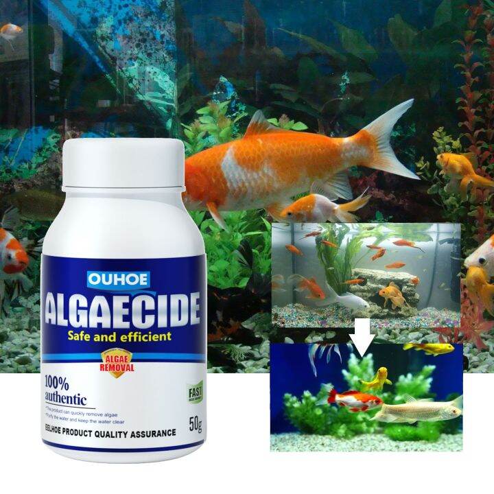【A Smart and Cute】 Aquarium Algaecide Deep Cleaning Control Fish Tank