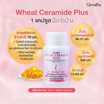 กิฟฟารีน ของแท้ วีท เซราไมด์ พลัส อาหารผิว ส่งฟรี อาหารเสริม  Giffarine Wneat Ceramide Plus สำหรับ ผู้ที่กังวล ริ้วรอย ผิวแห้ง ผิวขาดน้ำ ขนาด 30 แคปซูล