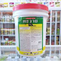 ทะวาย15 (TA-WAI 15) "ทะวาย" แพกโคลบิวทราซอล (paclobutrazol)…15% SC ส่งเสริมการออกดอกของทุเรียนและมะม่วงนอกฤดู(10กก.)