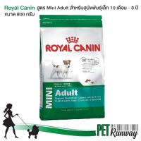 Royal canin สูตร Mini Adult อาหารลูกสุนัข อาหารเม็ดลูกสุนัข สำหรับสุนัขพันธุ์เล็ก 10 เดือน – 8 ปี ขนาด 800 กรัม