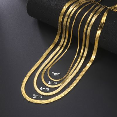【CW】Skyrim Stainless Steel Snake Chain Necklace for Women Men Gold Color Herringbone Choker Neck Chains 2023 Trend Jewelry Gift Hot