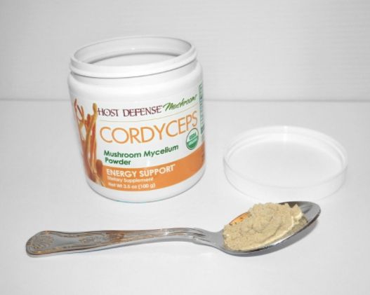 ผงไมซีเลียมจากถั่งเช่า-cordyceps-mushroom-mycelium-powder-energy-supports-100g-host-defense