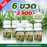 SV289 แมกม่า Maxma สารจับใบ สารเสริมประสิทธิภาพสูตรเข้มข้นพิเศษ ขนาด250 ซีซี 6 ขวด  ยาจับใบ หรือจับใบพืชชนิดทนการชะล้าง