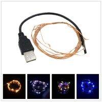 【☑Fast Delivery☑】 na07037036036666 ไฟแถบไฟ Led เครื่องชาร์จ Usb Dc 5V 2M 20led Usb ขับเคลื่อน Rgb ทองแดงแถบสายสตริงวันหยุดต้นไม้เทพนิยายกลางแจ้ง