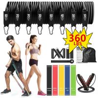 【DT】hot！ Gym Resistance Bands for Stretch Pull Up Assist Rubber Crossfit Exercise Training Workout