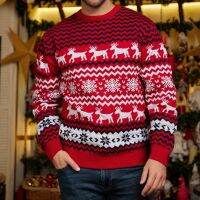 Men Basic Jumpers Loose Fit Snowflake Elk Pattern Crochet Pullovers Long Sleeve Christmas Style Crew Neck Vacation Outfit