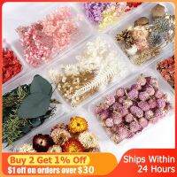 Artificial Flower Decoration Resin Epoxy Resin Decoration Flowers - 1 Box Flowers - Aliexpress