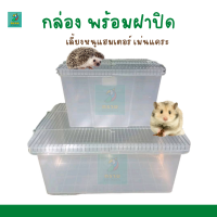 กล่องเลี้ยงหนูแฮมเตอร์พร้อมฝาปิด