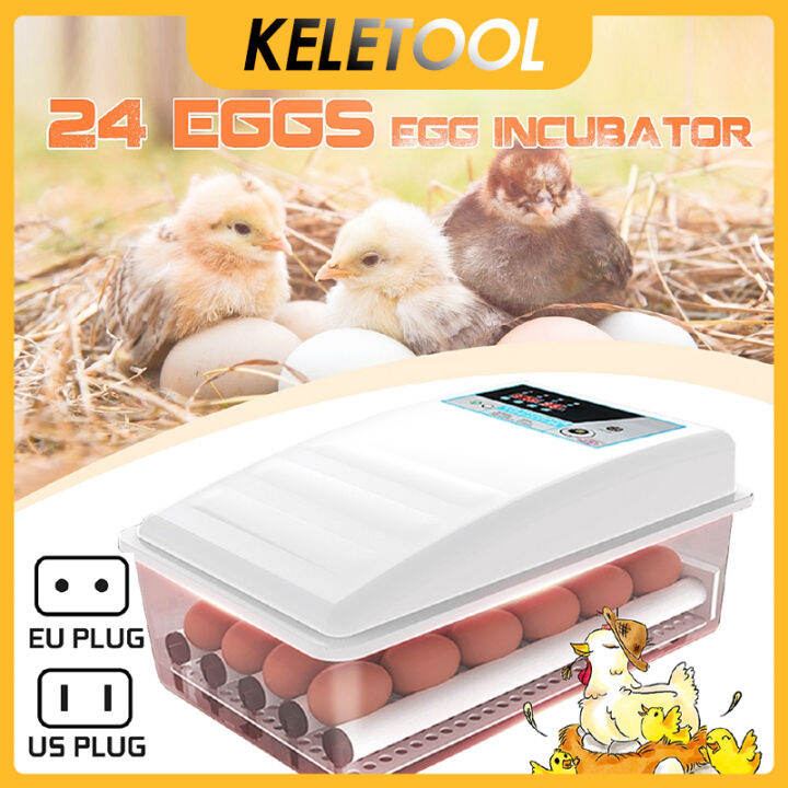 24 Eggs Full Automatic Egg Incubator Farm Chick Hatchery Digital Brooder Multifunction Incubator