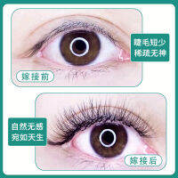 2023 Clover ต่อขนตา 3D Xianduo Beauty Eyelashes บุปผาโดยอัตโนมัตินุ่มและหนาเป็นพิเศษขนตาปลอมที่ไม่กระจายตามธรรมชาติ