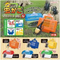 Spot 6 kinds of Japanese genuine J-DREAM gashapon beetle model insect breeding cage key pendant stag decoration