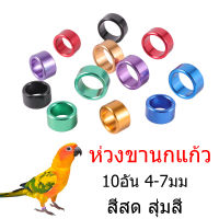 10อัน 4มม/5มม/6มม/7มม ห่วงขานกแก้ว ห่วงขานก ห่วงนกเลิฟเบิร์ด ห่วงใส่ขานก ห่วงขานกหงหยก  ทำจากอลูมิดนียมน้ำหนักเบา สุ่มสี