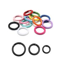 5Pcs/lot Metal Spring Gate O Ring Openable Round Carabiner Keychain Bag Clips Hook Dog Chain Buckles Connector for DIY Jewelry