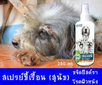 พร้อมส่งทันที!! สเปรย์ข้เรื้อน (สุนัข) 250 ml ยีสต์ เชื้อรา ตัวไร คัน ผื่นแดง ตุ่มคัน แผลขี้เรื้อน