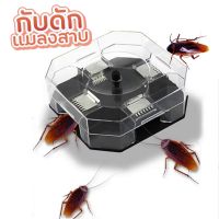 กับดักแมลงสาบ กล่องจับแมลงสาบ แมลงสาบ รุ่น cockroach-rap-j1
