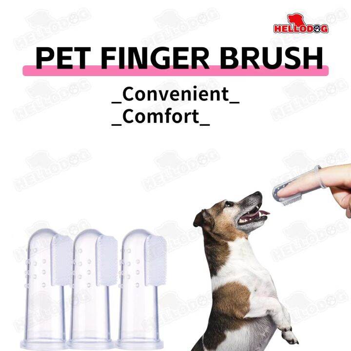 Pet/Dog Finger Brush(with Storage Box) Lazada PH