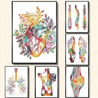 Human Anatomy Muscular System Wall Art ภาพวาดผ้าใบและพิมพ์ภาพผนัง Medical Education Home Decor Cuadros