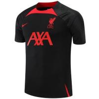 shot goods Liverpool 2022 Training Football Jersey