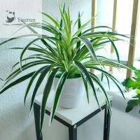 YOURUN พืชเทียม Chlorophytum กระถางห้องในร่มไหมพลาสติกแบบตั้งโต๊ะพืชปลอมกระถาง