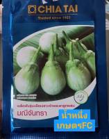 เมล็ดพันธุ์ มะเขือเปราะเจ้าพระยาลูกผสม มณีจันทรา(20กรัม)มะเขือเปราะ?หมดอายุ09/2567?ตราเจี่ยไต๋