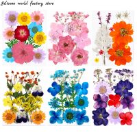 【CW】 Pressed Dried Flowers Epoxy Resin   Silicone Mold - Aliexpress