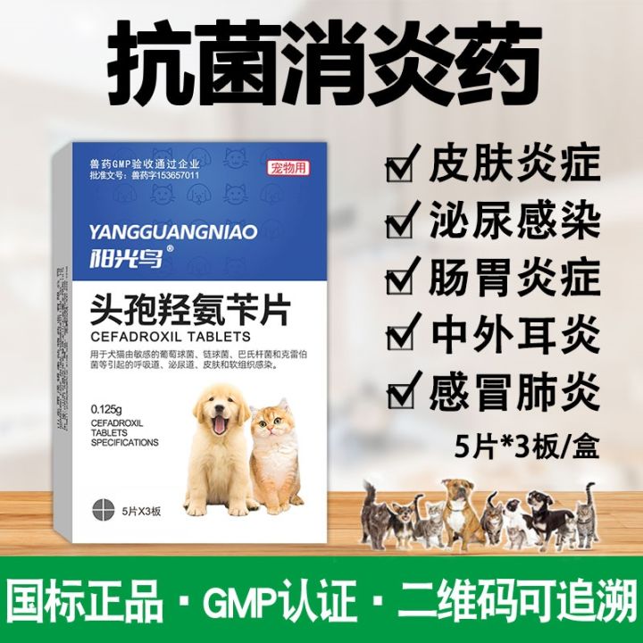 Anti-inflammatory drugs for dogs and cats dermatitis pus cold cough ...