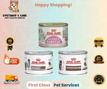 Royal canin recovery untuk hot sale kitten