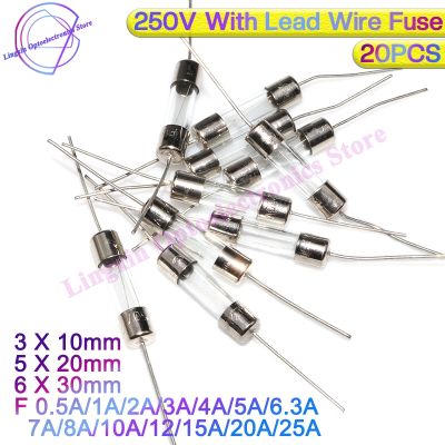 【YF】♕  20PCS 3x10 6x30 5x20mm Glass Fuse Fast Blow 250V With Lead Wire F 1A/2A/3A/3.15A/4A/5A/6.3A/8A/10A/12A/15A The fuse