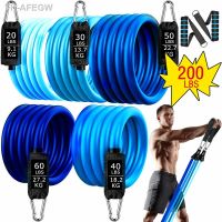 【hot】№  200lb Resistance Bands Set 11/17pcs Exercise Workout Band Gym for Training