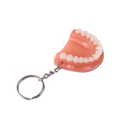 Resin Molar Denture Model Shape Keyring Upper Gift Tooth Key Chain