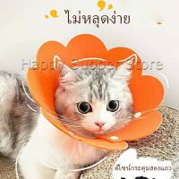 คอลล่าแมว ปลอกคอดอกไม้ ปลอกคอกันเลีย คอลล่าสุนัข  Cat coll