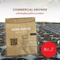 ซองใหญ่ เมล็ดสมุนไพรนำเข้า No.1 Herb Seeds Big Pack (OP) เมล็ดพันธุ์เปิด